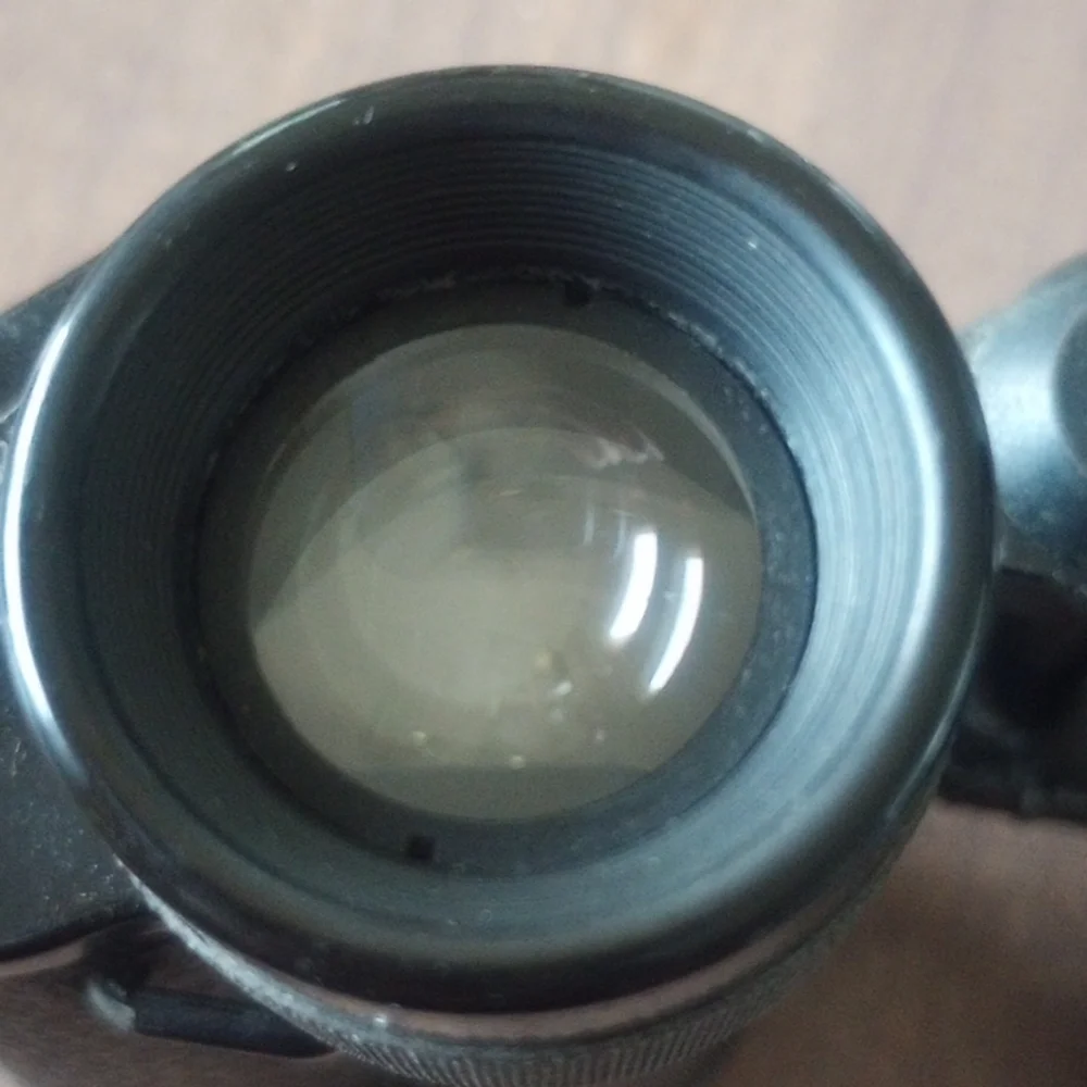 CARL ZEISS Jena DELTRENTIS 8x30 Binoculars (circa 1924)